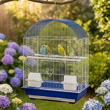 Cargar imagen en el visor de la galería, Jaula para Pájaros Mediana (57x41x30 cm) - Diseño Bóveda con Bandeja Extraíble y Accesorios (Color Aleatorio: Azul, Verde o Blanco)
