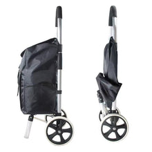 Cargar imagen en el visor de la galería, Carro de Compra de 2 Ruedas Grande de ø21 cm con marco de aluminio Ligero plegable portátil 43x36x103 cm
