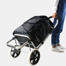 Cargar imagen en el visor de la galería, Carro de Compra de 2 Ruedas Grande de ø21 cm con marco de aluminio Ligero plegable portátil 43x36x103 cm

