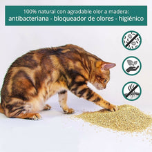 Cargar imagen en el visor de la galería, Arena para Gatos Aglomerante 5L arenero absorbente controla propagacion bacteria
