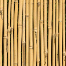 Cargar imagen en el visor de la galería, 20 Unids Tutores, Palitas, Cañas de Bambú Para Plantas o Decoracion Jardin Hogar
