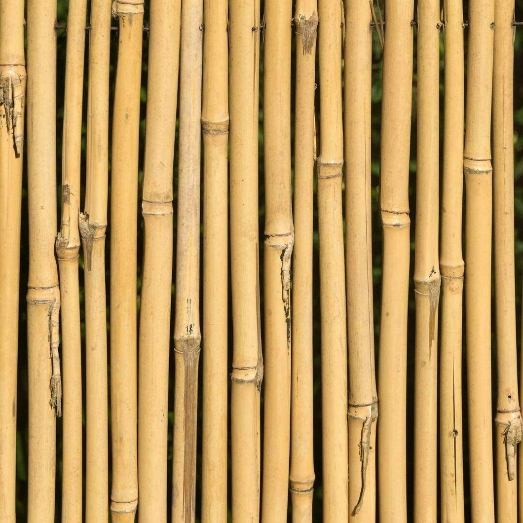 20 Unids Tutores, Palitas, Cañas de Bambú Para Plantas o Decoracion Jardin Hogar