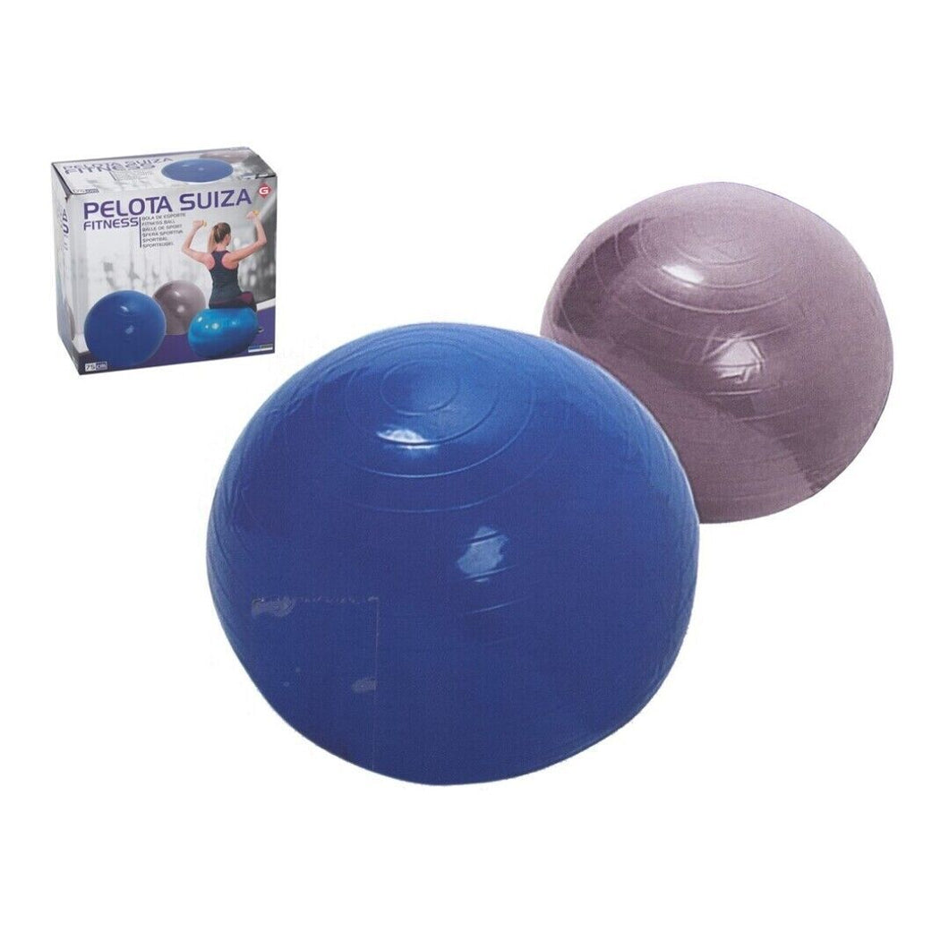 PELOTA YOGA, PILATES, FITNESS, EMBARAZO CON HINCHADOR INCLUIDO