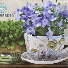 Cargar imagen en el visor de la galería, Taza Macetero con Plato de Céramica Para Plantas Decoracion Jardin Casa
