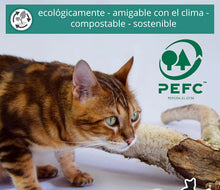 Cargar imagen en el visor de la galería, Arena para Gatos Aglomerante 5L arenero absorbente controla propagacion bacteria
